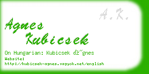 agnes kubicsek business card